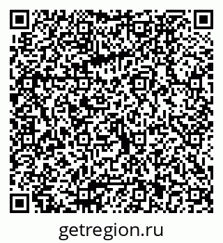 79040831381