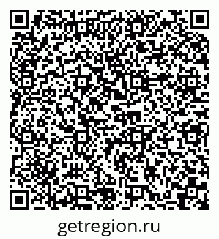 79040839295