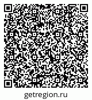 79040841381