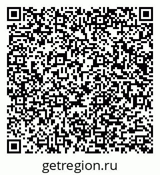 79040985381