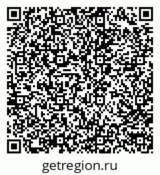 79040986041