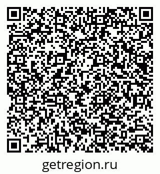 79040987981