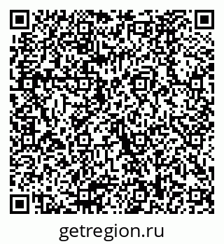 79040988772
