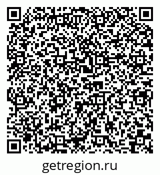 79040988804