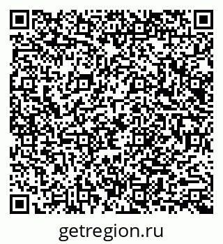79040991181