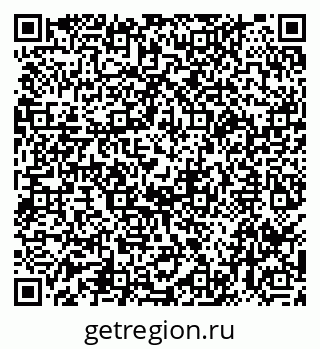 79040991281