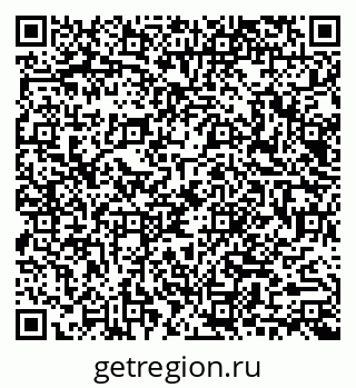 79040991381