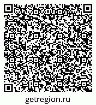 79040991540