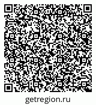 79040991557