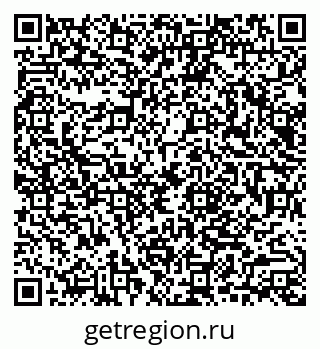 79040993828