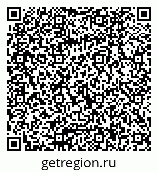 79040994041
