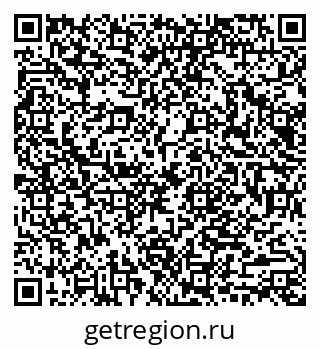 79040994295
