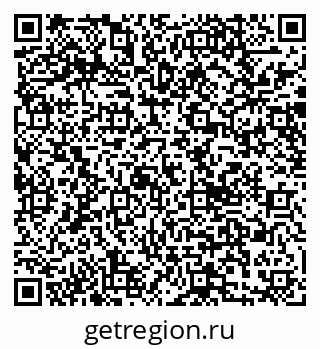 79040995204