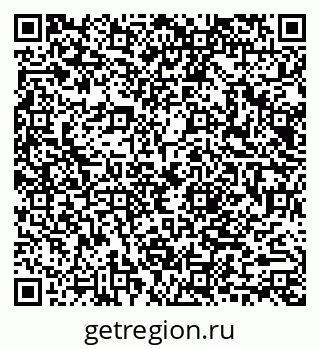 79040995381