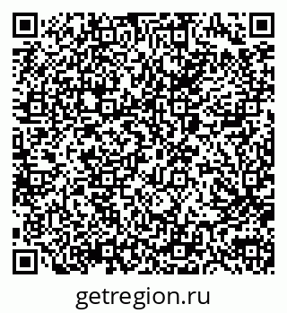 79040995539