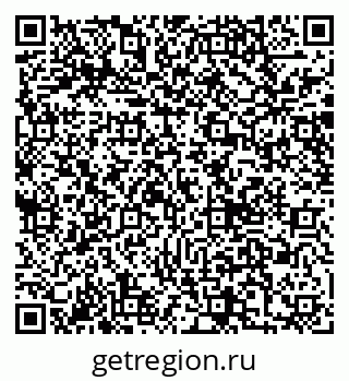 79040995566
