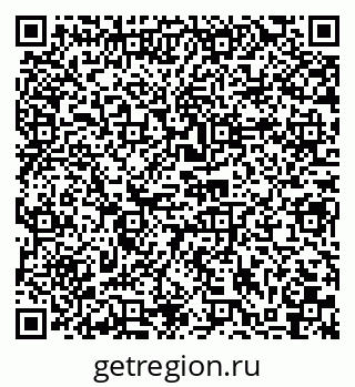 79040995955