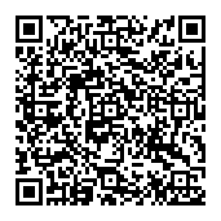 79040996541