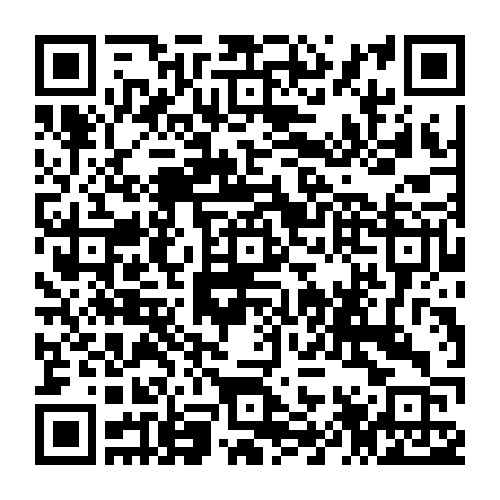 79040996804