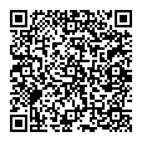 79040997004