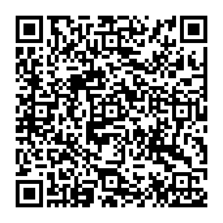 79040997561
