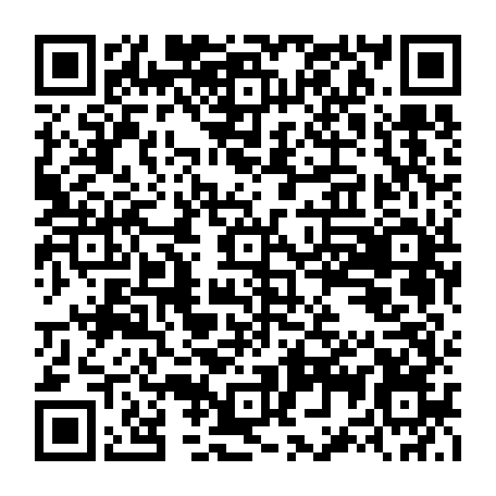 79040997677