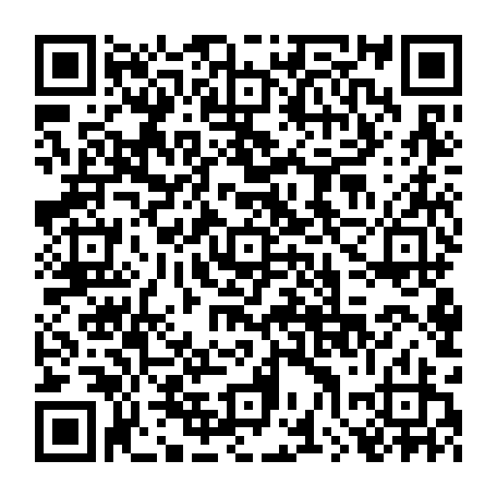 79041600538