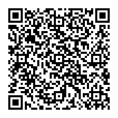 79041600539