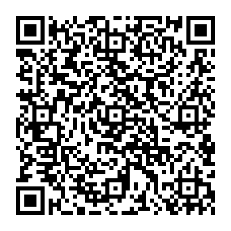 79041601216