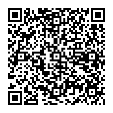 79041601291