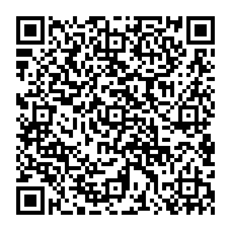 79041796133