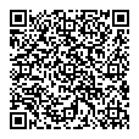 79041799955