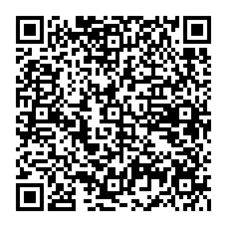 79041799956