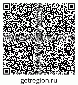 79041800536