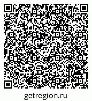 79042004528