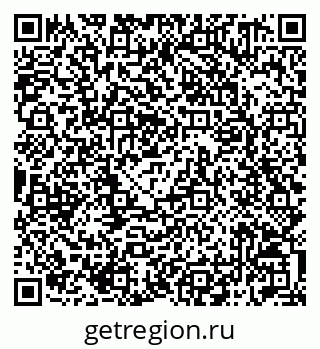 79042011536