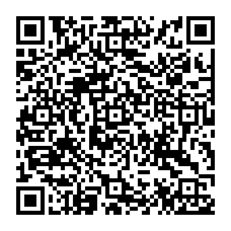 79042619911