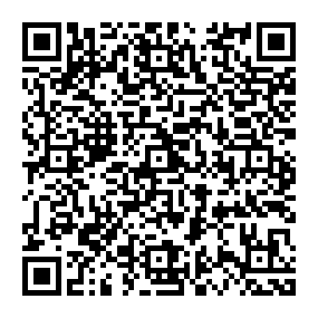 79042633217