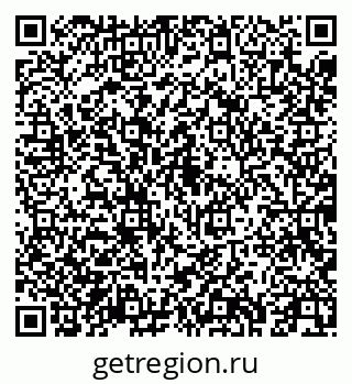 79043250384