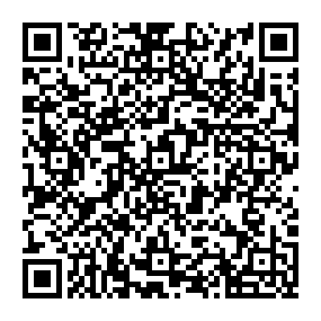 79043300411