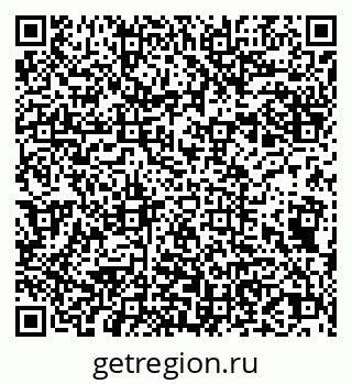 79043500241