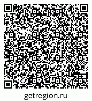 79043500538