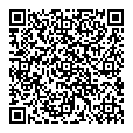 79043800217