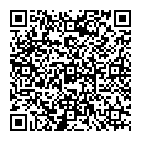 79044399304