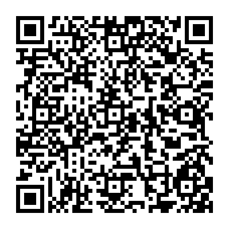 79050963411