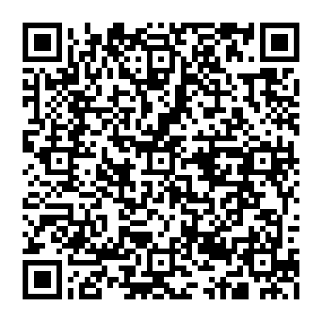 79054960831