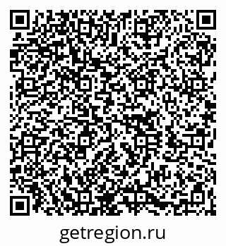 79060011041