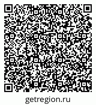 79060011381