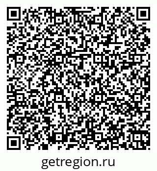 79060011384