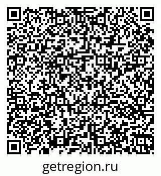 79060011541